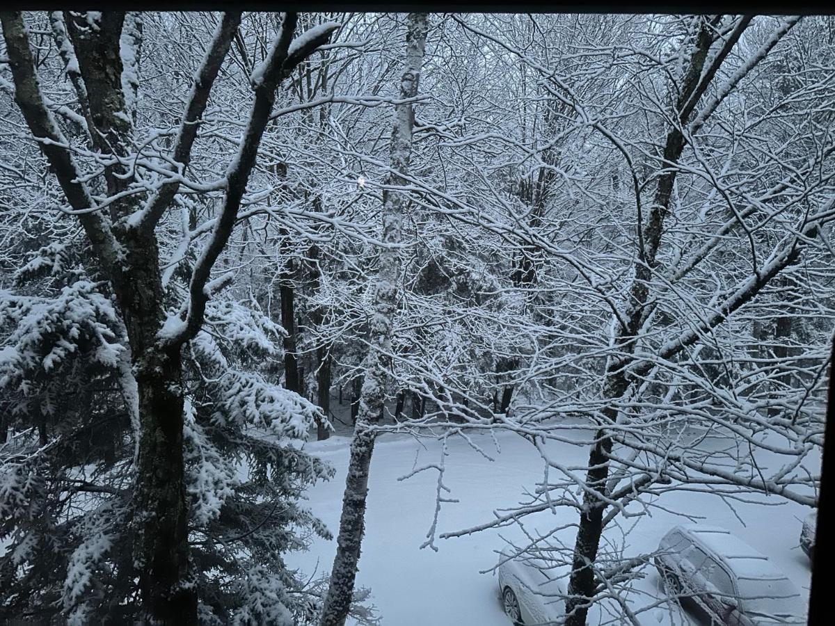 Vermont Getaway! Newly Renovated! Stratton Valley Екстер'єр фото
